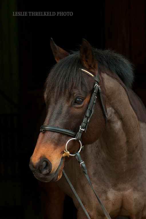 CruzHeadBlackbackground