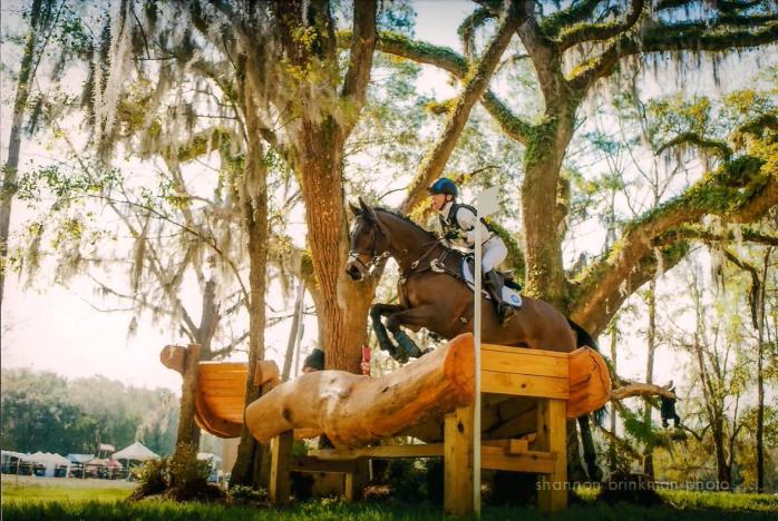 RedHills2015HammockXC 001