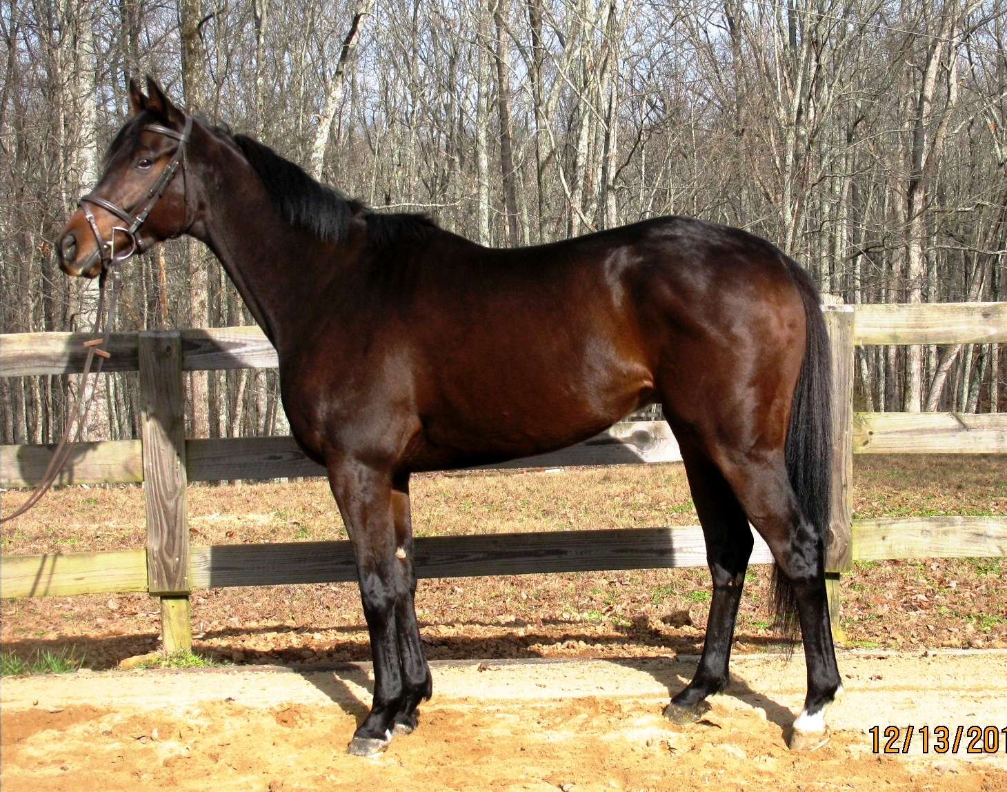 NoveltyAct2Conform12132015