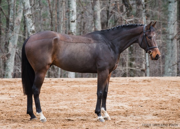 AtTheGrandeConformation1