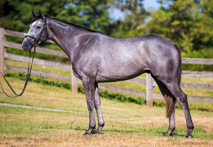 StevieConformGrassLeftSept2019