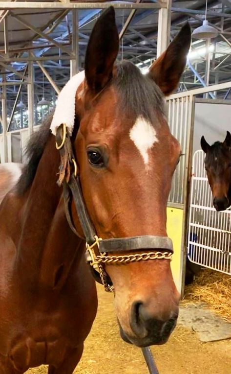 QHeadShotHawthorneTrack11222019