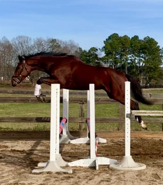 ShezAQueenieJump12202019