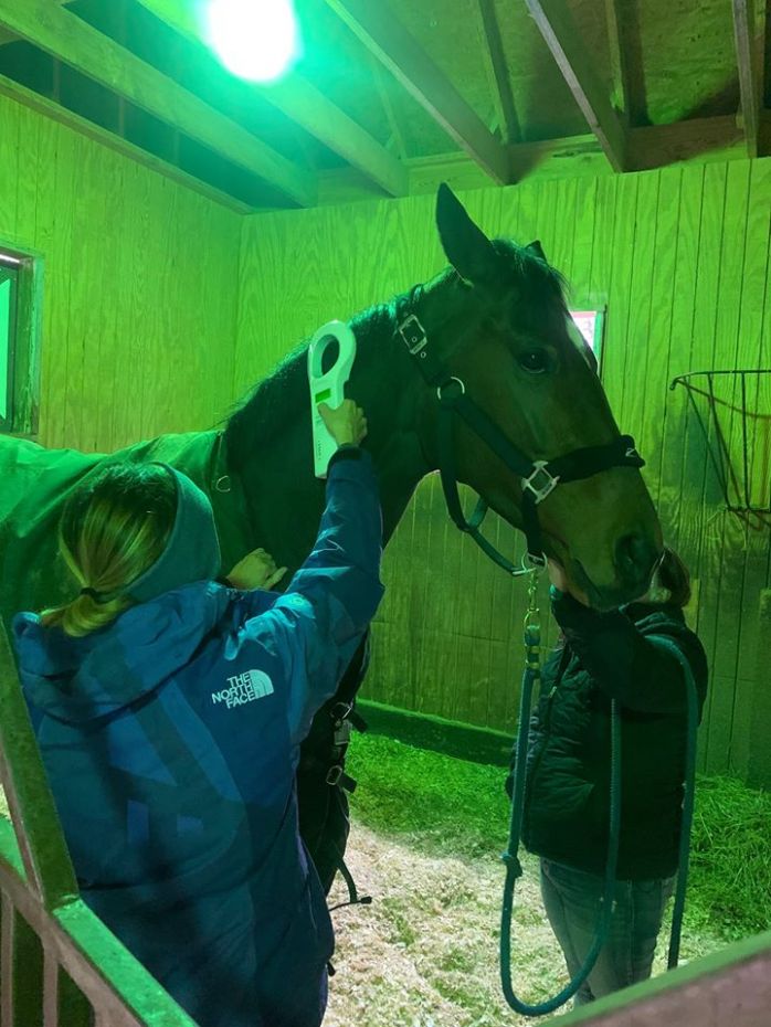 ShezAQueenieMicrochip