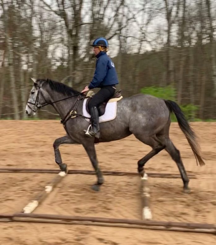 WatchMeSmokemZebTrotPoles