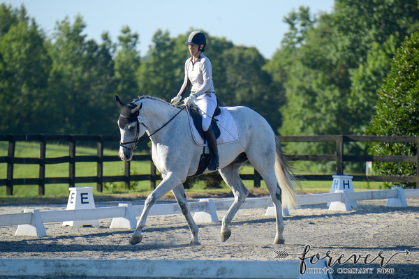 LouZebDressagePoplarJuly2020