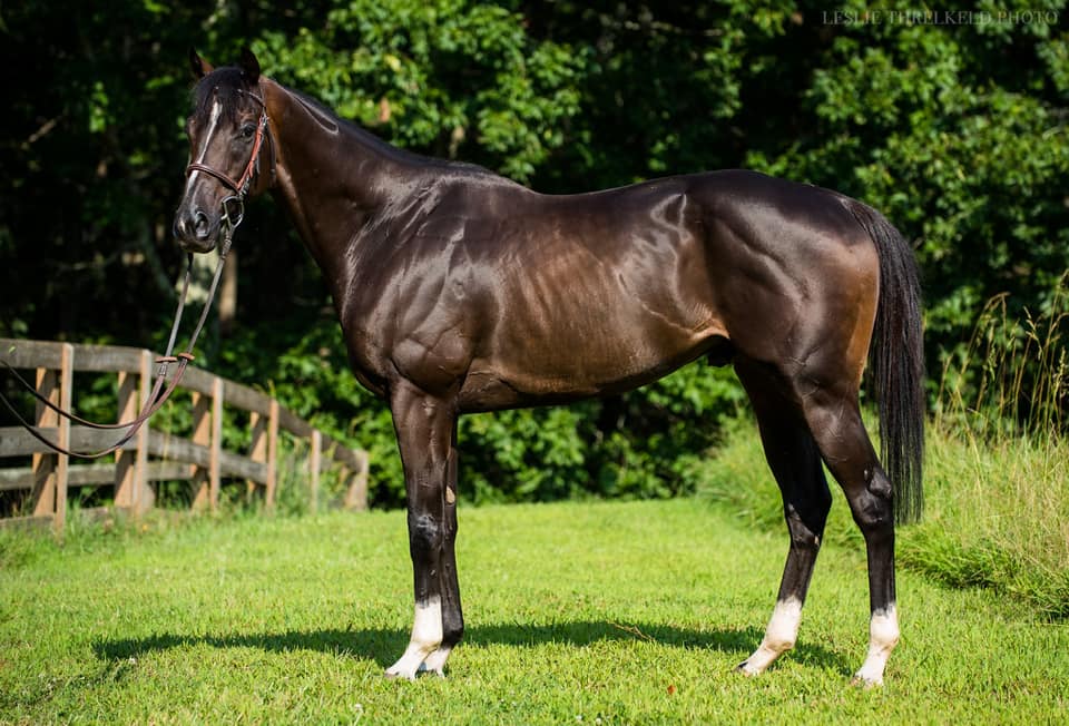 AffirmatifSongConform2