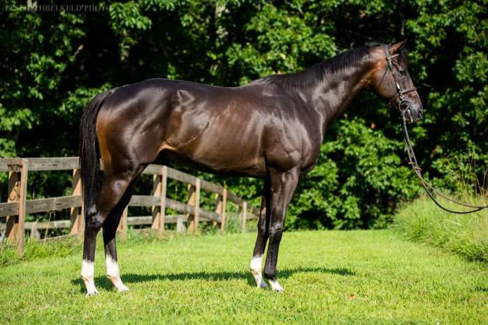 AffirmitifSongConformation1